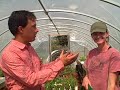 Garden tips