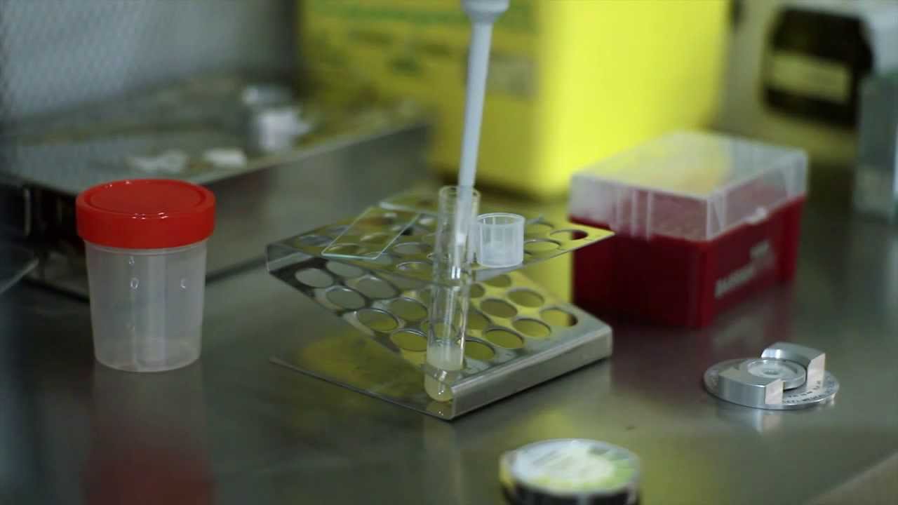 Insémination artificielle femme célibataire france