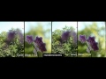 Canon EF 50mm 1.2L lens