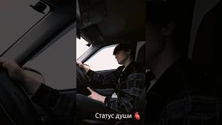 Бакрстатус Души