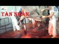 SỰ TÀN NHẪN TỪ NHỮNG LY SỮA BÒ MÀ BẠN UỐNG MỖI NGÀY