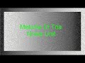 Melanie Di Tria - Noise Unit