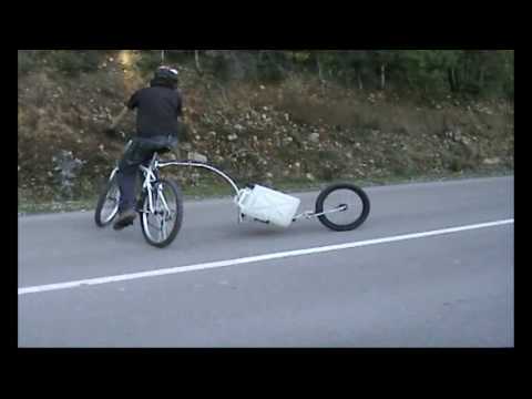 Oxtail carrying weight