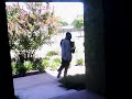 Thief Stealing Packaged From Pregnant Womens Porch In Lewisville Tx Thief Stealing Packaged From Pregnant Womens Porch In Lewisville Tx
