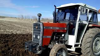 Mf 265S 3 Lü 14 Numara Pulluk İle Tarla Sürümü