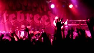 Watch Hatebreed Healing To Suffer Again video