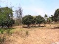 Land sale for sale Hua Hin Thailand Black Mountain area