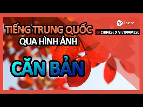 Học Tiếng Trung Quốc Qua Hình Ảnh |Từ Vựng Tiếng Trung Căn Bản | Golearn