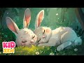 Relaxing Music for Kids: Love is Everywhere 🐇 Sleeping Video for Babies | Cute bunnies