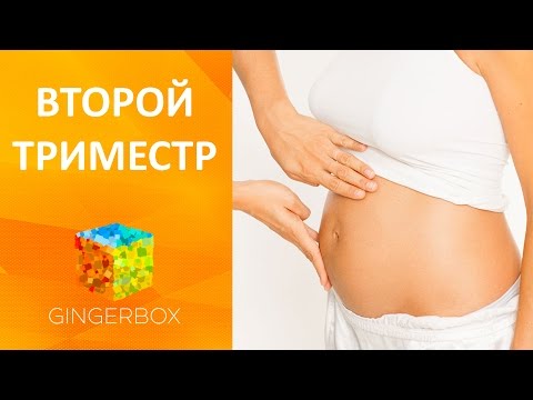 Ребенок проглотил магнит - Хирургия - бесплатная консультация Проект «Основы безопасности и жизнедеятельности дошкольников»