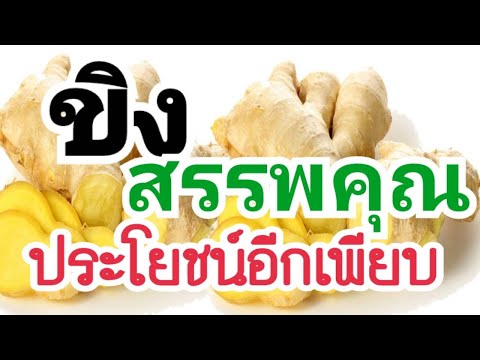 สรรพคุณและประโยชน์ 10 ข้อ !! ของขิง รู้แล้วอึ้ง!!!