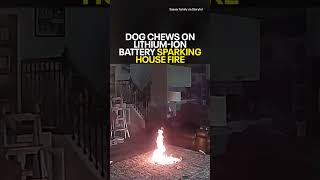 Dog Chews On Lithium-Ion Battery Sparking House Fire