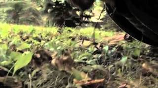 Ultimate Supreme Chase Scene
