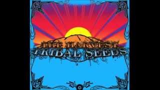 Watch Tribal Seeds The Harvest video