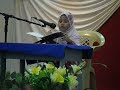 Kanak Kanak Baca Quran Iffah Faqiehah images Kanak Kanak Baca Quran Iffah Faqiehah