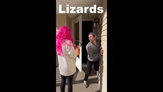 How Animals Would Hand Out Candy If They Were People.