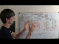 Mercedes F1 Engine - How Mercedes Dominated 2014