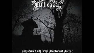 Watch Evilfeast Immerse Into Cold Mist video