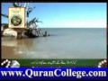 Surah Rahman - Beautiful Qari Syed Sadaqat Ali.....