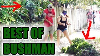 BEST OF BUSHMAN - FUNNY clips! Scare prank - funny video