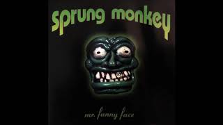 Watch Sprung Monkey Mr Funny Face video