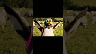 Skibidi-Boppy World Tour Normandy Edition We Found Kiro The Penguin Chilling With Sheeps