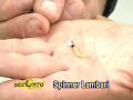 Video de Top dicas - como pescar lambaris com leves e pequenas iscas com a boia de arremesso da deconto