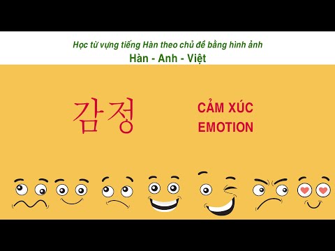 Từ vựng tiếng Hàn theo chủ đề: 감정 - Cảm xúc - Emotion