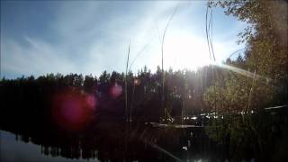 Alutaguse Seikluspargi Grillkoda