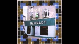 Watch Sebadoh Perfect Way video