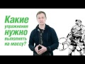 Секреты спортивного питания. (Владимир Молодов) Секреты спортивного питания. (Владимир Молодов)
