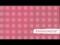 Bar Refaeli - Passionata Lingerie 2010 Commercial