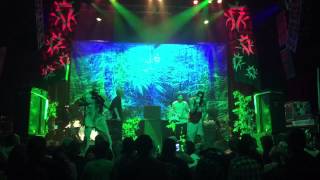 Watch Kottonmouth Kings SubNoize Rats video