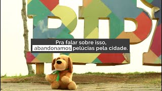 Dibea - Diretoria do Bem-Estar Animal - Floripa