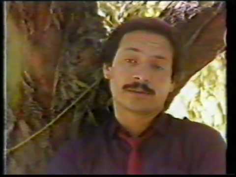 JAWAD GHAZIYAR - AY DELAM AZ ZOLFE TU
