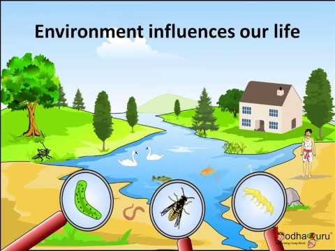 Biotic features in an open grassland