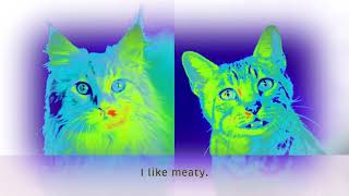 Meowmix Bends Physics
