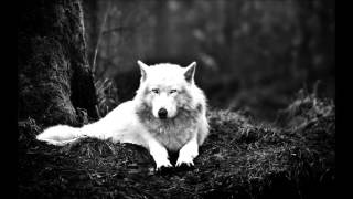 Adrian Sina Feat. Sandra N - Angel (South Blast! Nympho Angel Remix)