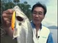 Video de Pesca alternativa - pesca de robalos em iguape - parte 2