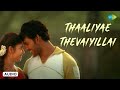 Thaaliyae Thevaiyillai - Audio Song | Thaamirabharani | Vishal, Bhanu | Yuvan Shankar Raja