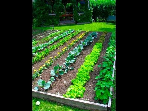 Garden Project - Garden Layout - YouTube