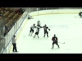 Line Brawl: Brooklyn Aviators at Danville Dashers 2/26/12 (video by MarkCooper11)