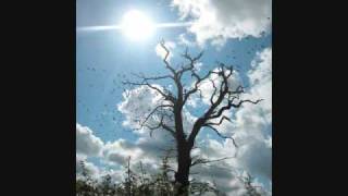 Watch Birdpaula Bird Will Fly video