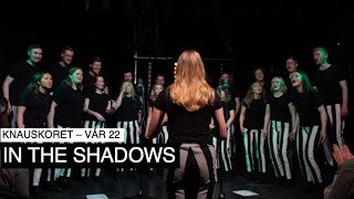 Knauskoret - In the Shadows (The Rasmus cover)