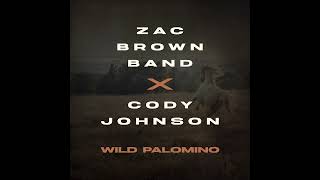 Watch Zac Brown Band Wild Palomino video