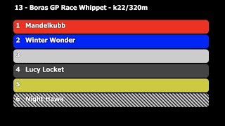 2019 07 07 Lopp 13 Borås GP Race Whippet