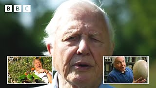 98 Years Of Sir David Attenborough In 98 Seconds ❤️ | David Attenborough's Birthday - Bbc