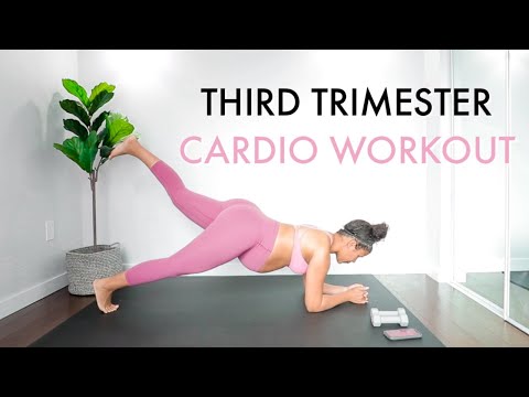 3rd Trimester Pregnancy Workout - Low Impact Cardio at Home | Suitable for All Trimesters - YouTube