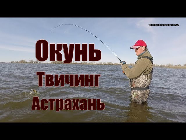 Твичинг на мелководье. Ловля окуня на воблеры. Рыбалка в Астрахани.
