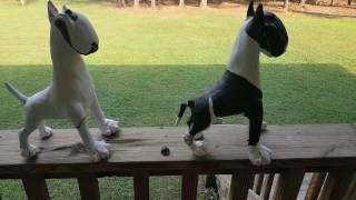 Bull Terrier Statues From Mexico